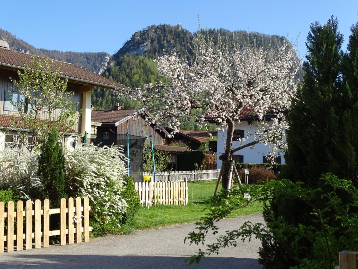 Ferienwohnung Anna Inzell Exteriör bild
