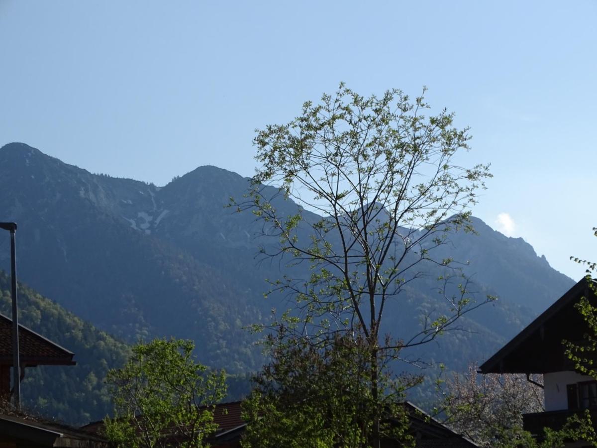 Ferienwohnung Anna Inzell Exteriör bild
