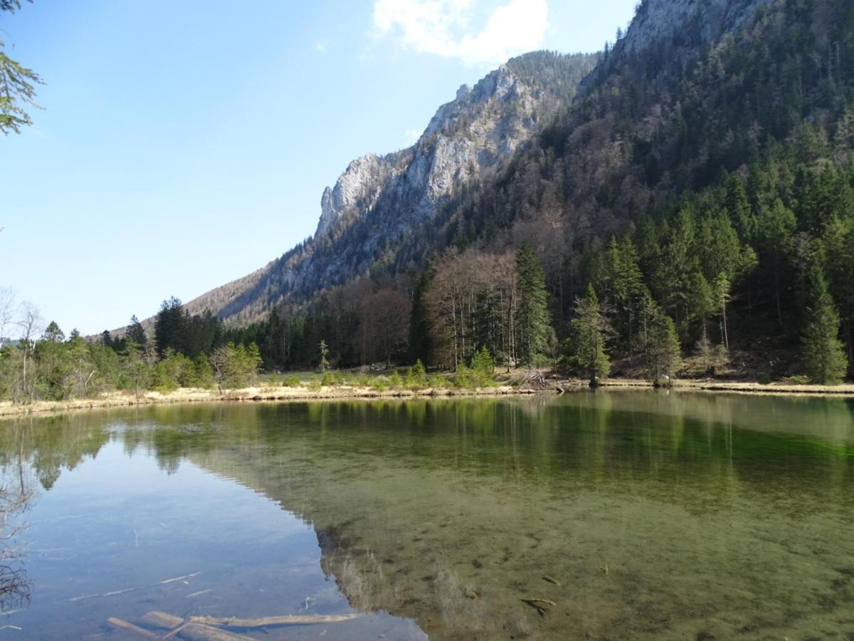 Ferienwohnung Anna Inzell Exteriör bild